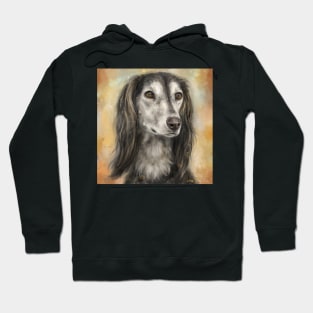 Painting of a Long Hair Brown and White Saluki Dog on Yellow Brown Background Hoodie